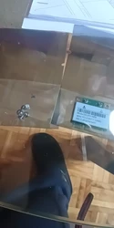 Imagen de reseña 2