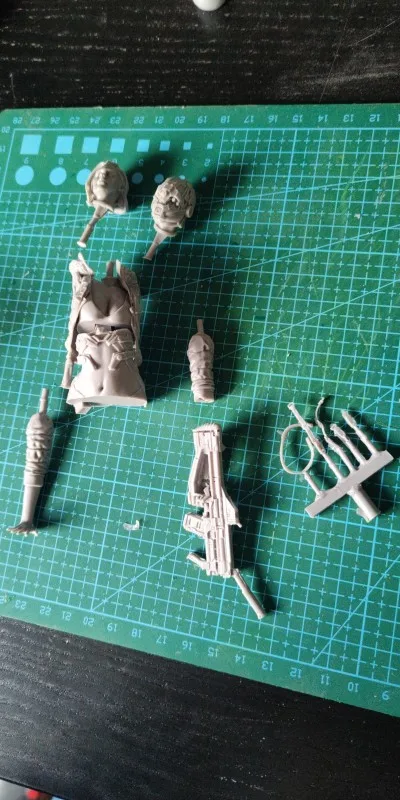 Buyer photo of this resin kit