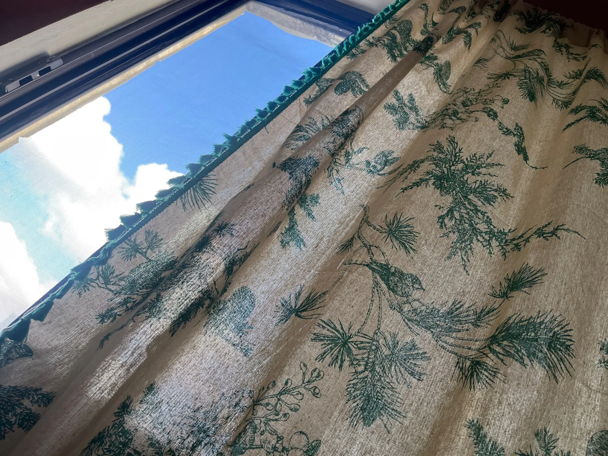 Review image 2
