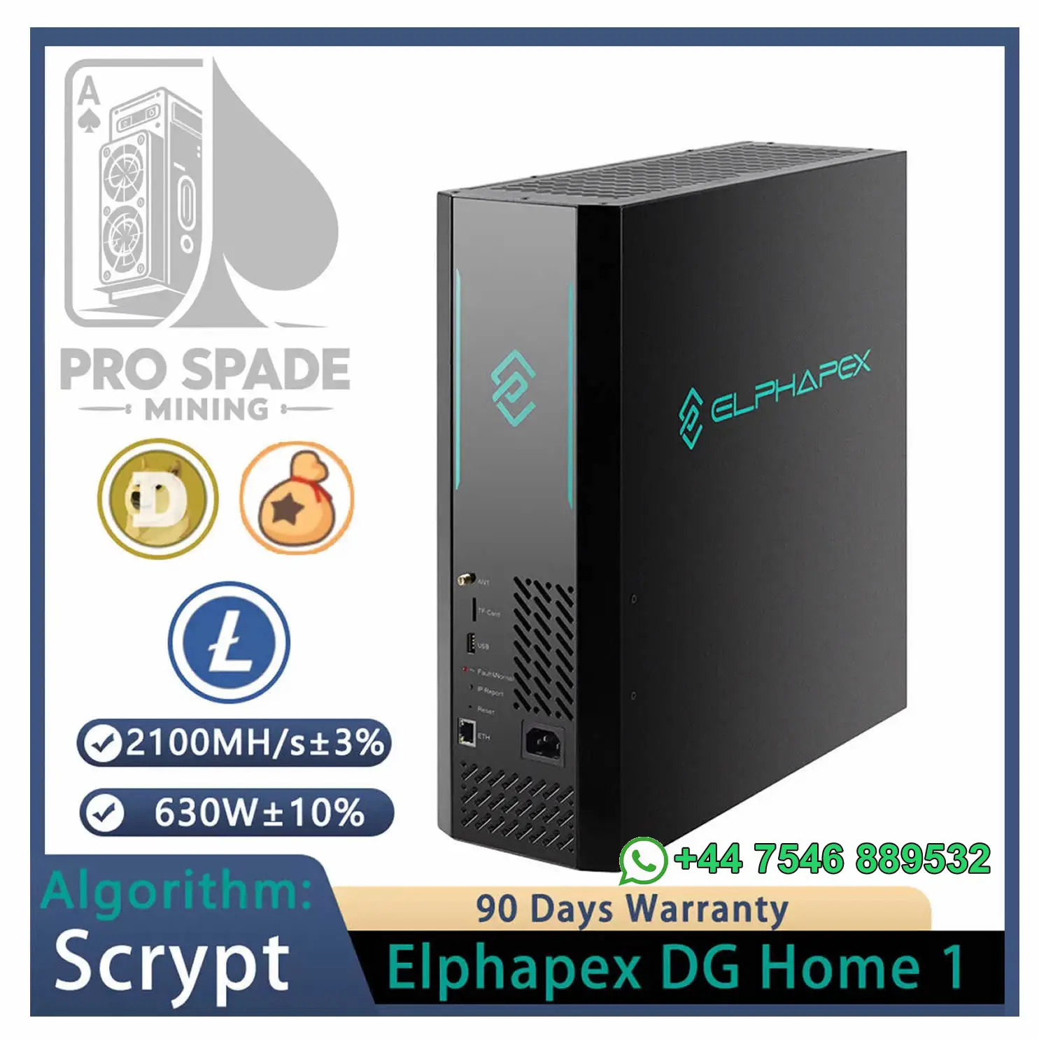 LK Azione autentica Nuovo minatore ElphaPex DG Home 1 LTC/Dogecoin