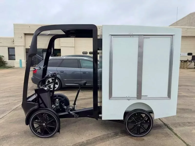 Best Price EAV eCargo EBike - Delivery Electric Bike Van TOP Deal