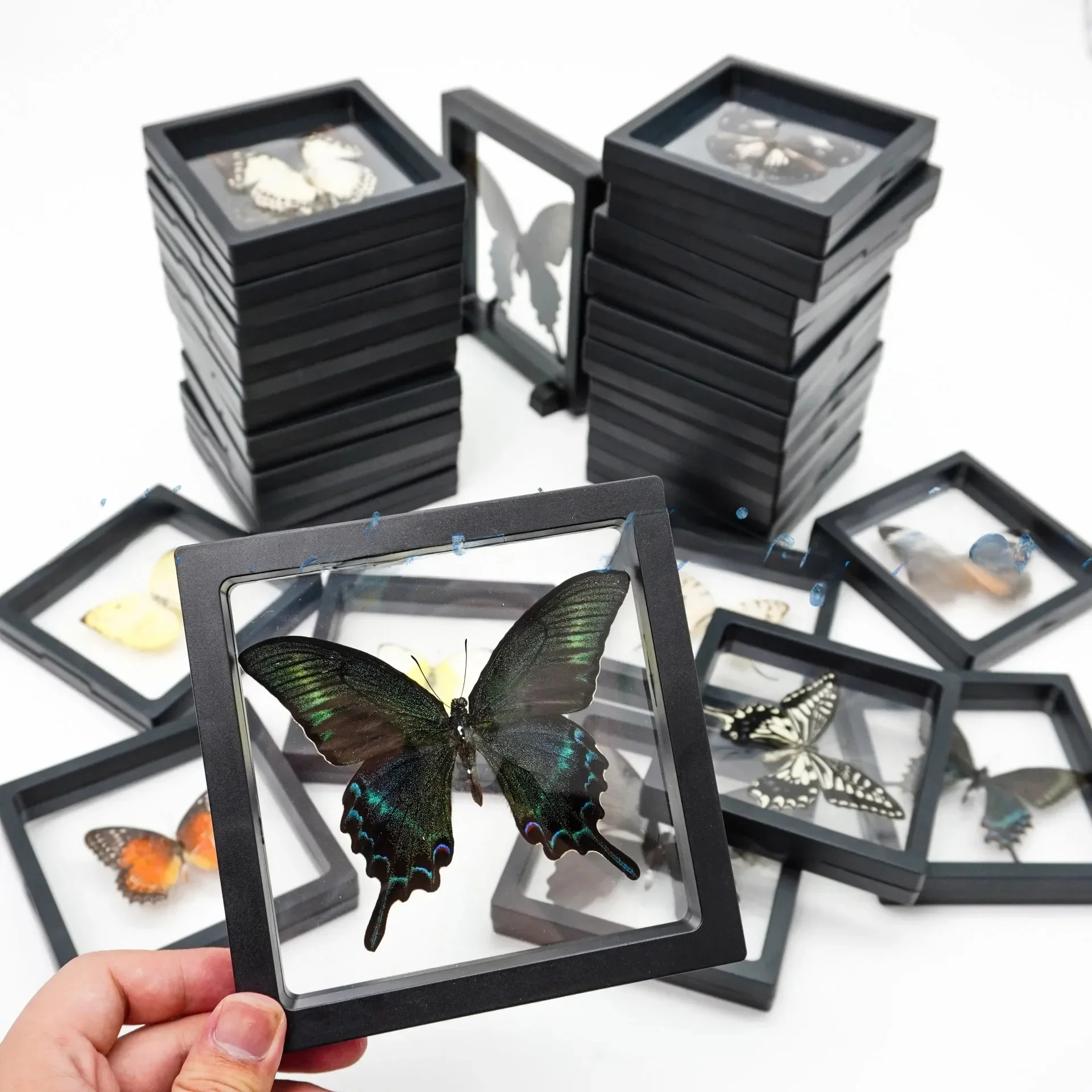 2 Stuks 40 Soorten Echte Vlinder Exemplaren Fotolijst Kantoor Thuis Desktop Boekenplank Ornamenten Zoekcollectie Display Cadeau - afbeelding 2
