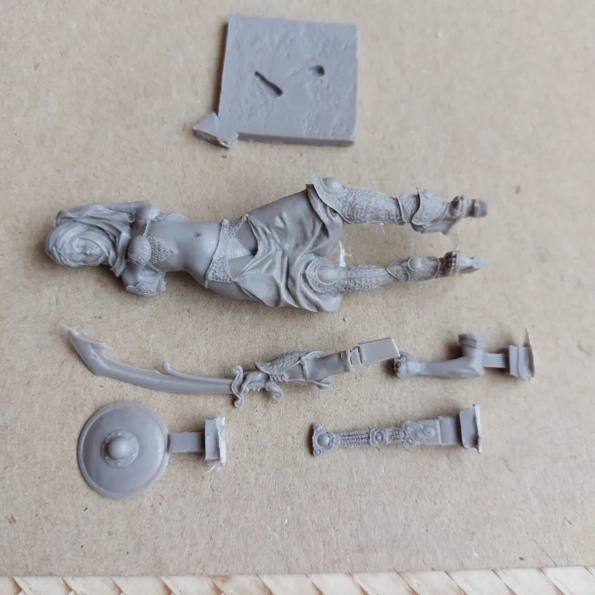 Buyer photo of this resin kit