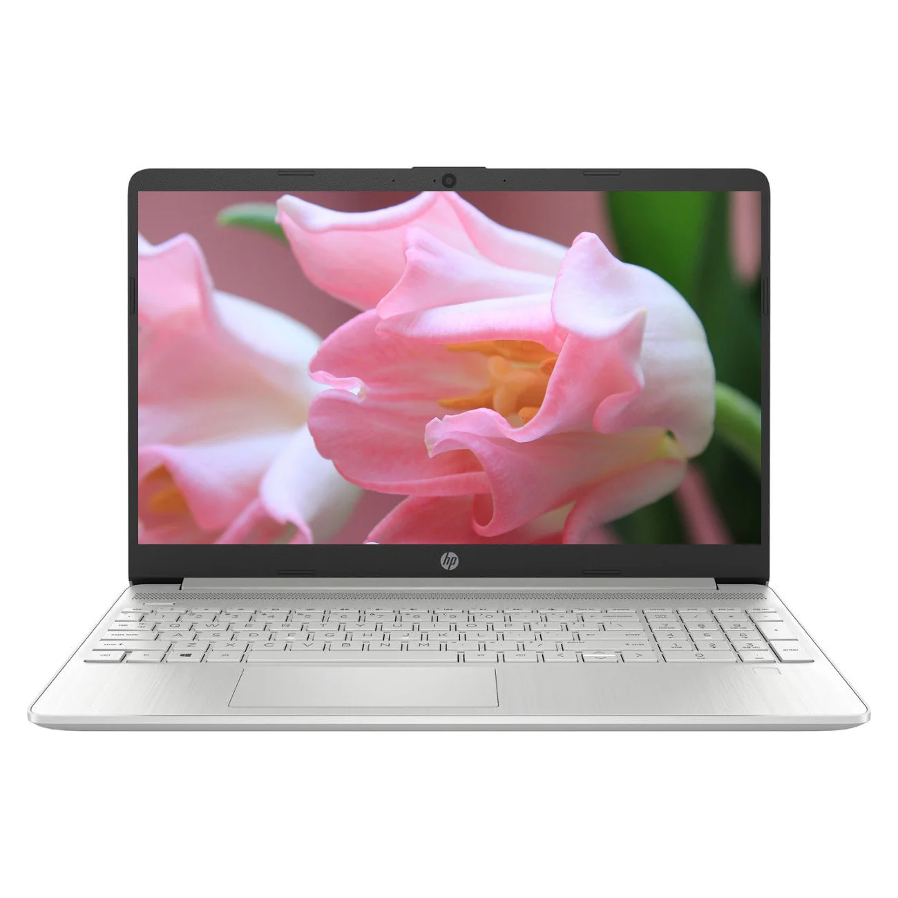 

Ноутбук HP с сенсорным экраном 15,6 дюйма, Intel Core i3-1215U,32 Гб RAM,2 ТБ SSD,Windows 11 Home, серебристый
