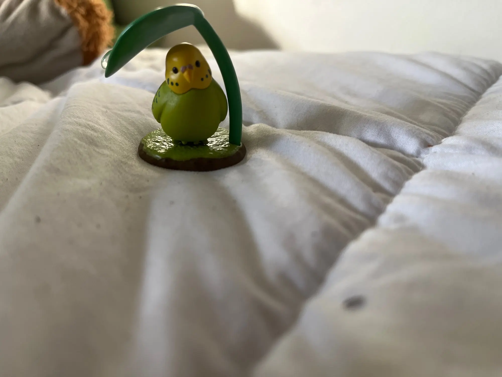Foto de reseña de C***r 🇨🇱