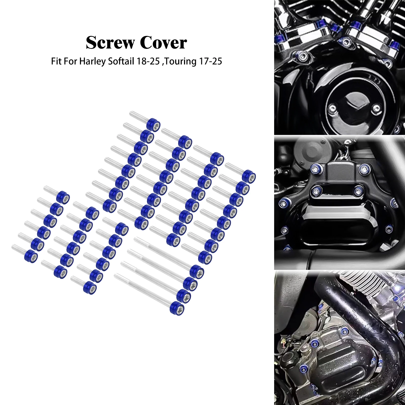 Motorcycle Blue Engine Screw Bolt Set Kit Fit For Harley Softail Cross Bones FLSTSB M8 Engine 2018-2025 Touring 2017-2025