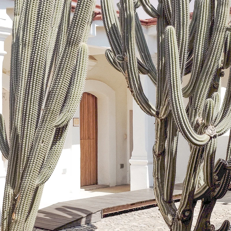 Mexico Wall Art Prints Mexico Map Poster City Photography Travel Posters Boho Desert Wall Canvas Painting Living Room Home Decor