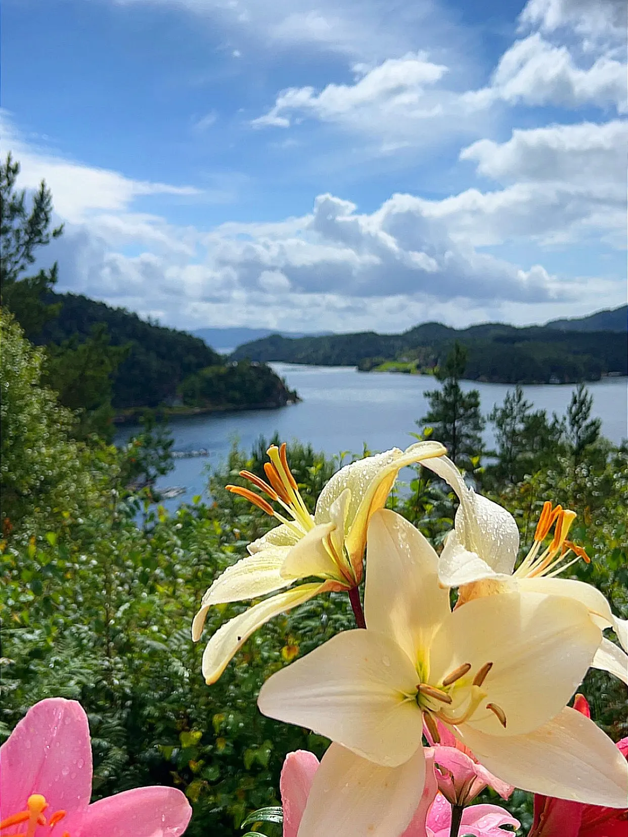 구매후기