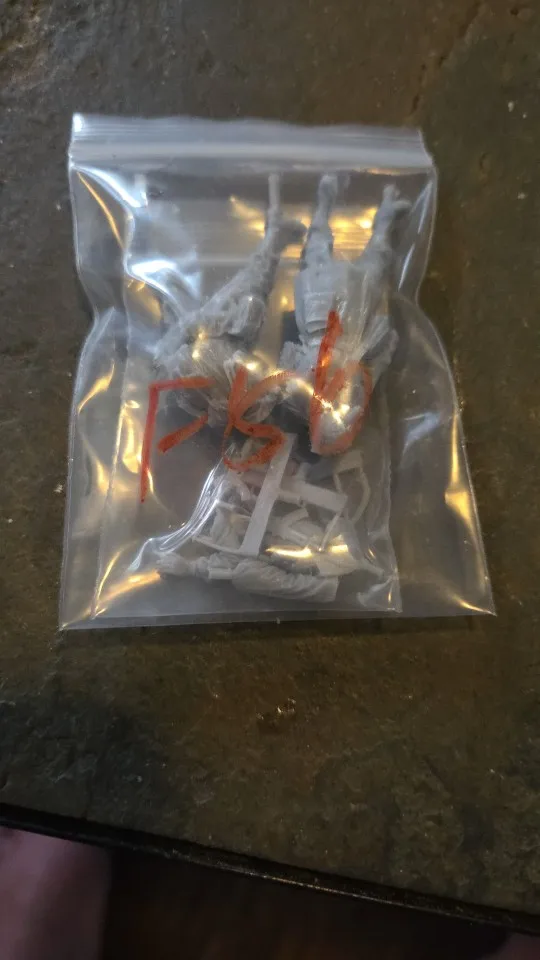 Buyer photo of this resin kit