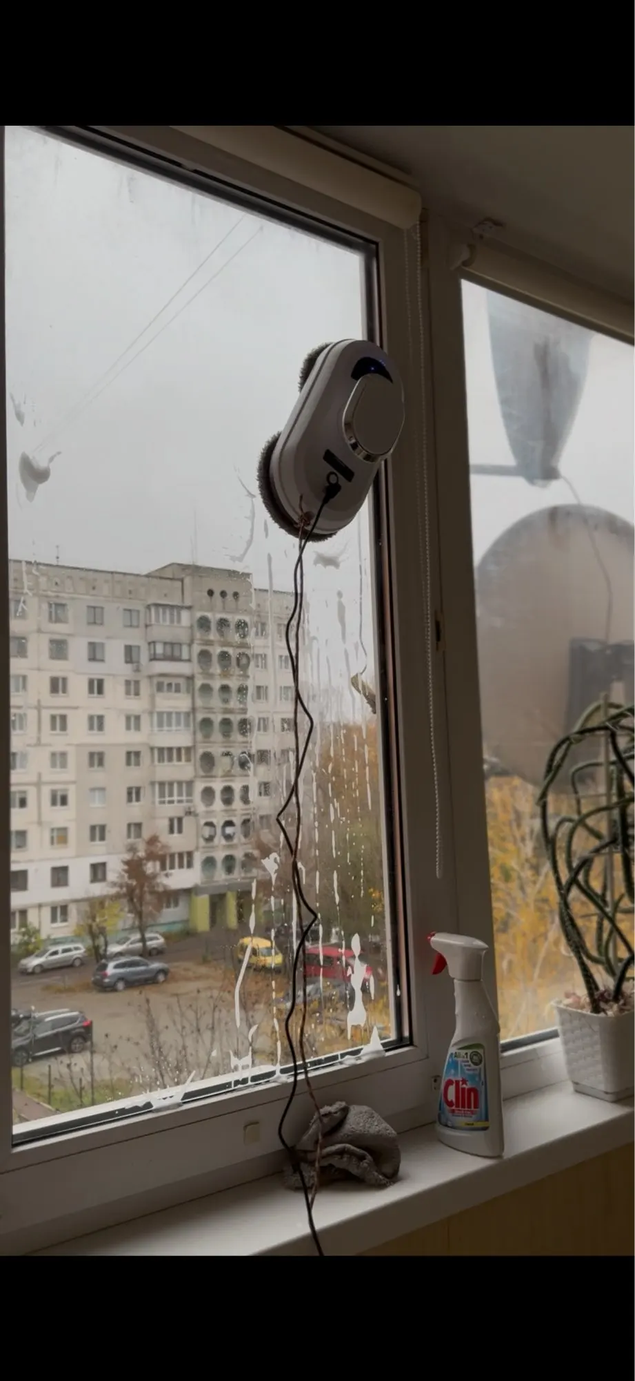 리뷰 사진