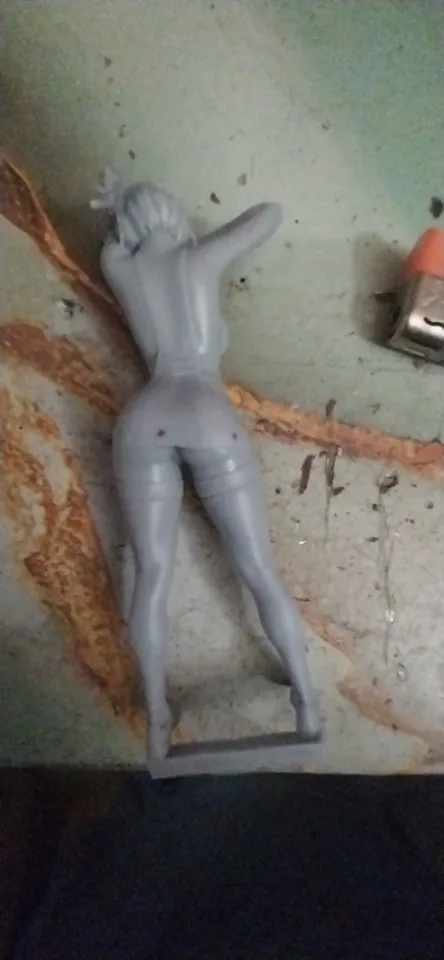 Buyer photo of this resin kit