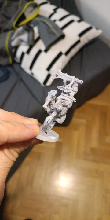 Buyer photo of this resin kit