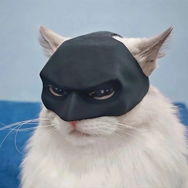 Poduszka na twarz kota nietoperz kapelusz Cosplay upiorny rekwizyt atmosfery Halloween plastikowy czarny makijaż półmaska impreza — zdjęcie 2