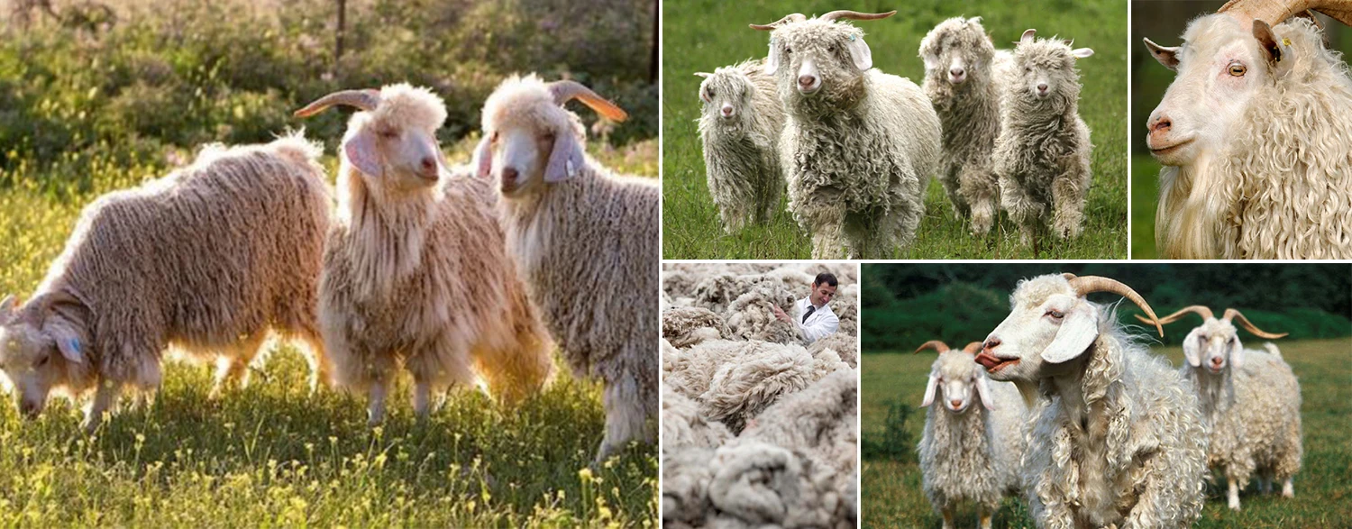 Witdiy Mohair-Haarsträhnen für Reborn-Puppen, Blythe, handgefertigtes, biologisches Puppenhaar zum Nachwachsen mit Schuppenschicht – Detail 1
