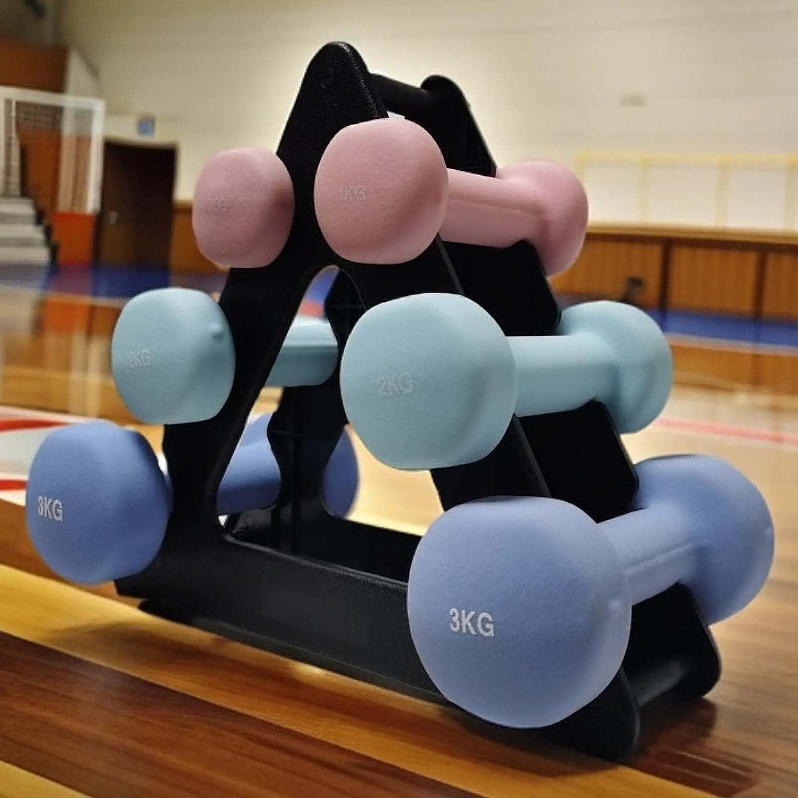 3-stufiger Hantelständer, Gewichtsaufbewahrung, Organizer für Krafttraining, Trainingsständer für Zuhause, Fitnessstudio, Aufbewahrungsständer