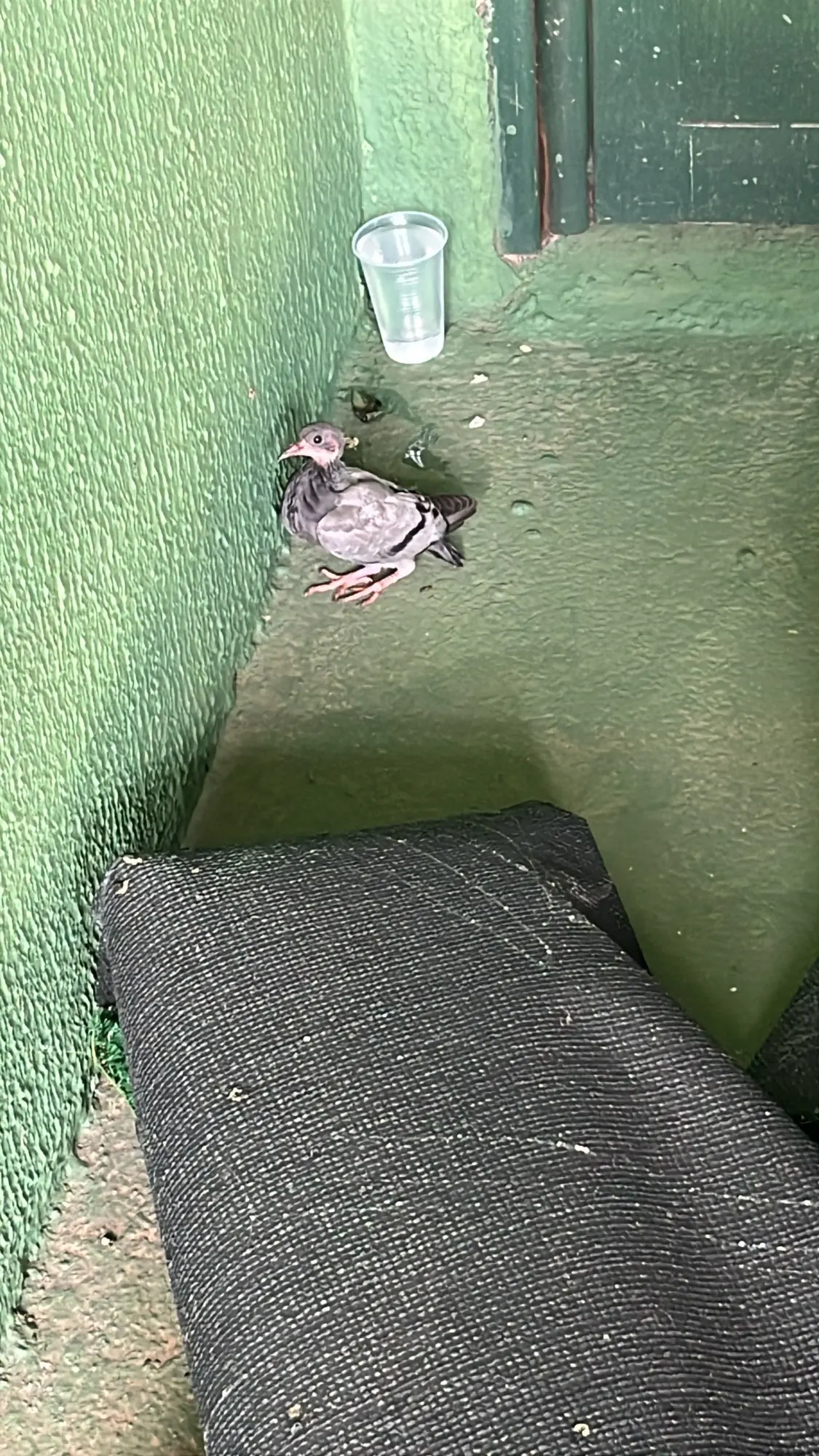 ATTACK SHARK L80 Ultra-Light Tri-Mode Gaming Headset Lightweight Wireless Gaming Headset for PC/PS4/PS5/Switch/Xbox photo review