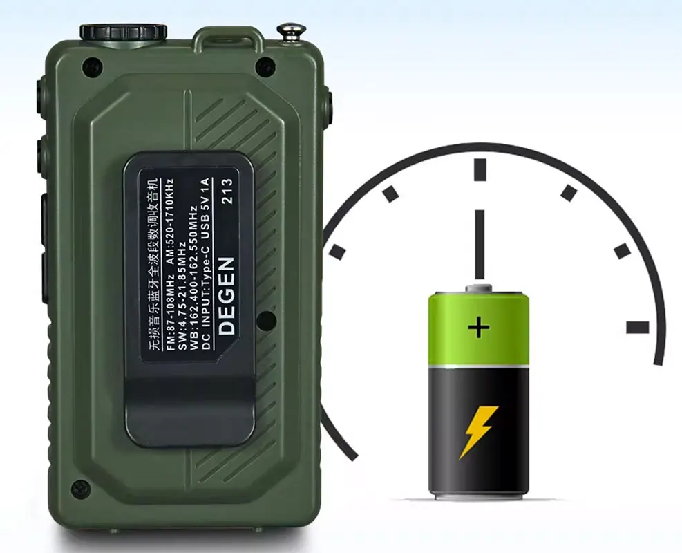 Degen 213 dźwięk radość palma skarb bezstratna muzyka karta TF odtwarzanie Bluetooth pełnopasmowe stereofoniczne radio cyfrowe