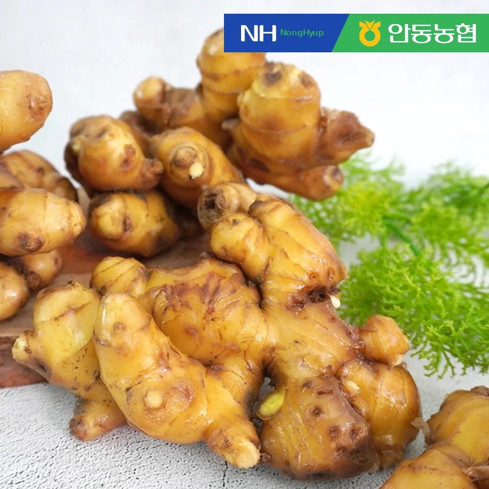 [Andong Agricultural Cooperatives] 2kg of washed ginger