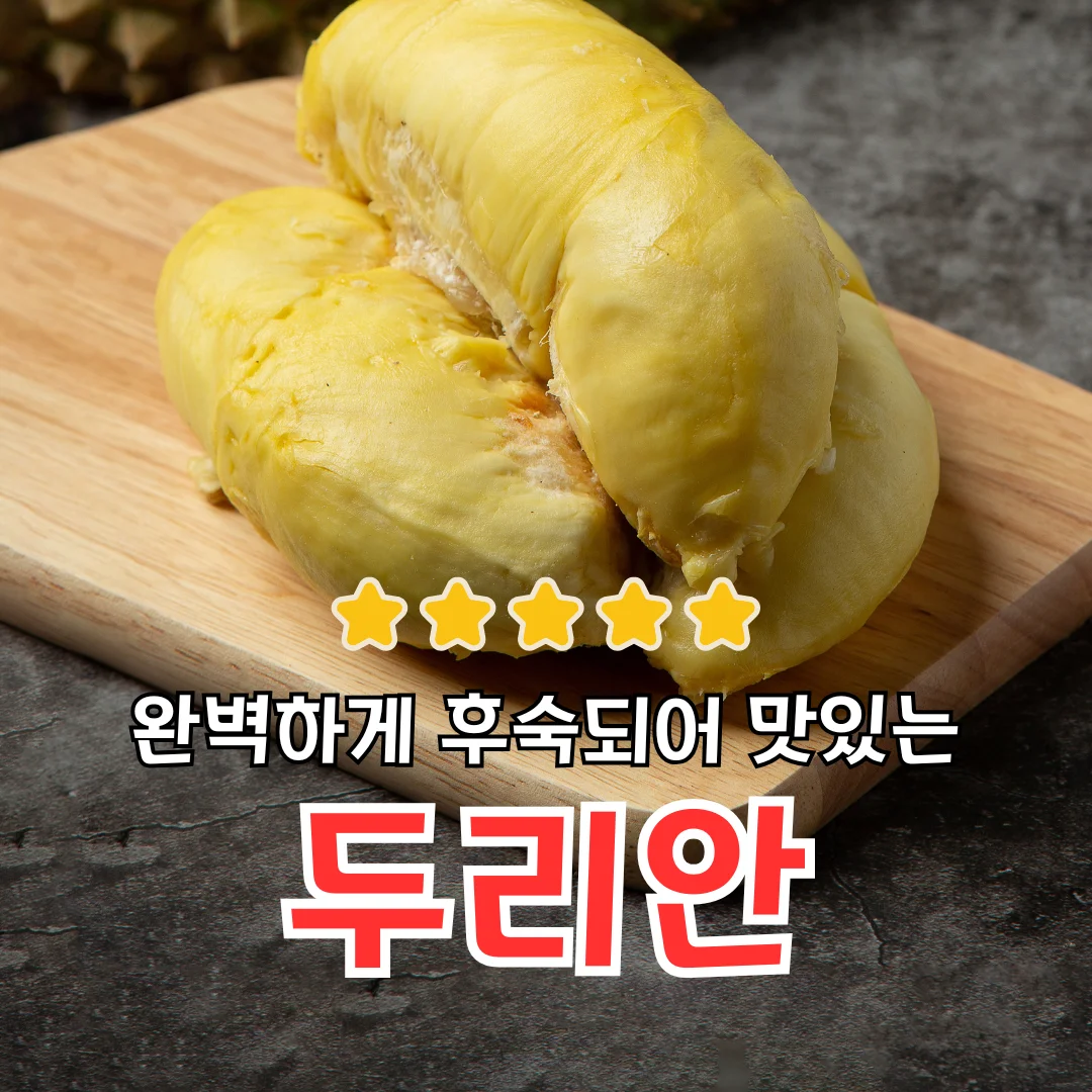 [Jae Ho Food] 500g frozen fruit tropical fruit