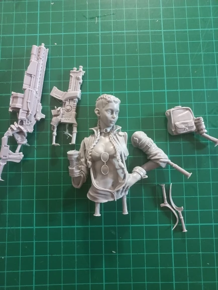 Buyer photo of this resin kit