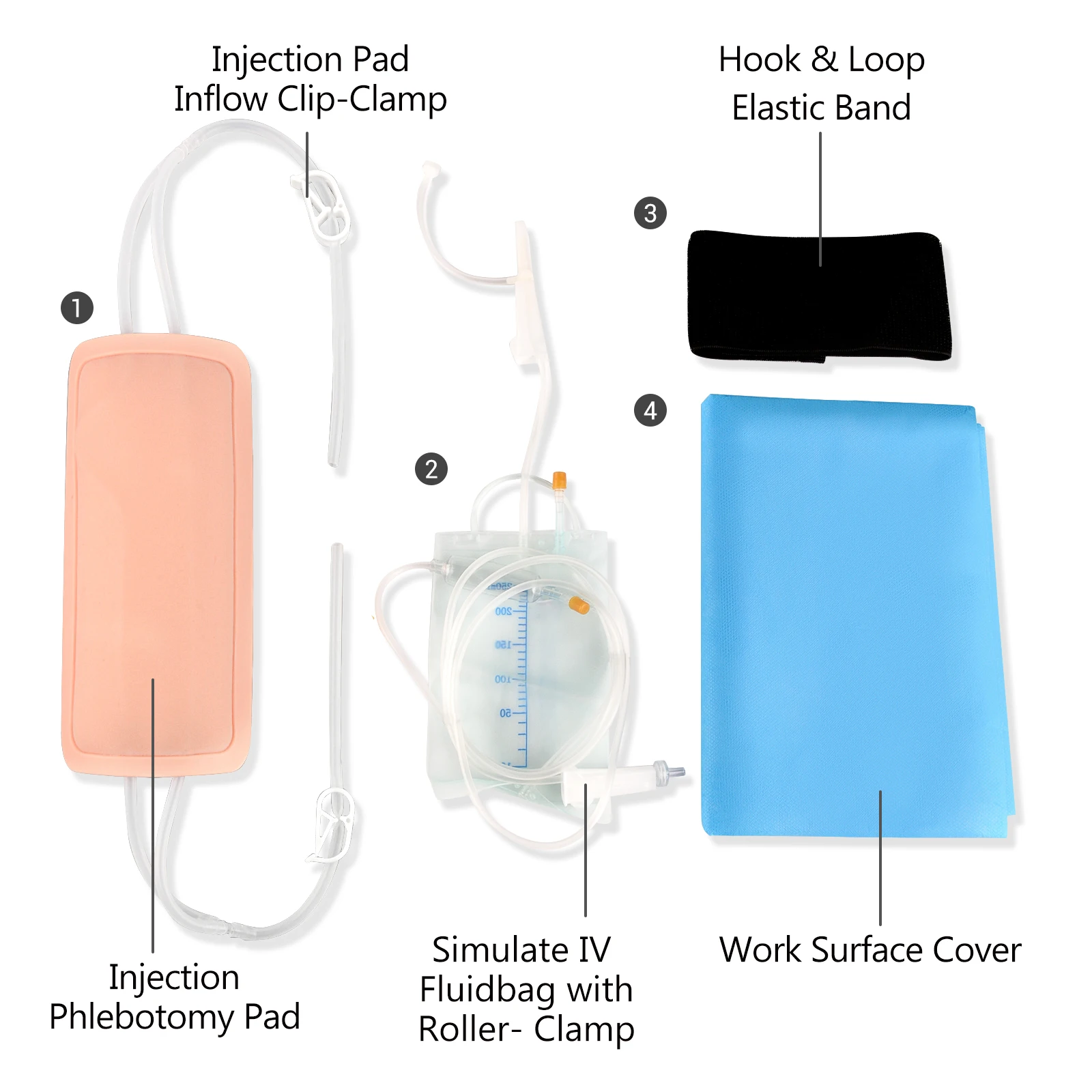 Kit de práctica de modelo anatómico IV, y flebotomy venipuntura, almohadilla de entrenamiento de inyección de simulación IV para estudiantes de