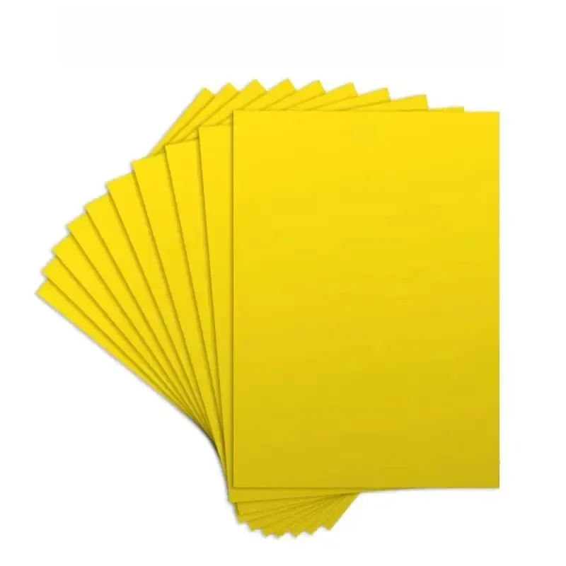 10 pièces/ensemble pièges à insectes pour mouches et visques de fruits, verger de fruits, jardin de Melon, ferme, pièges à insectes domestiques