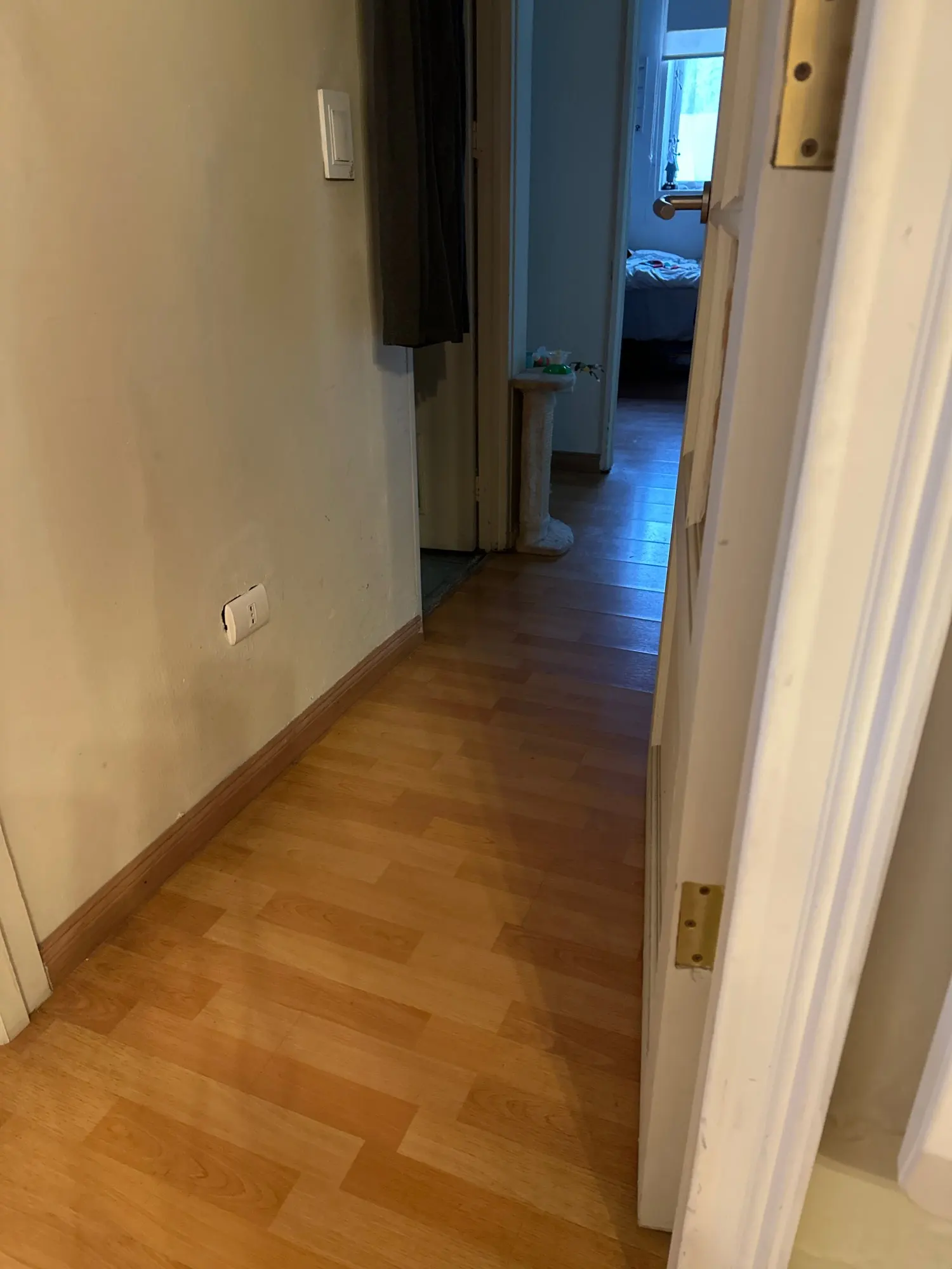 Customer review photo from Al Hermiston