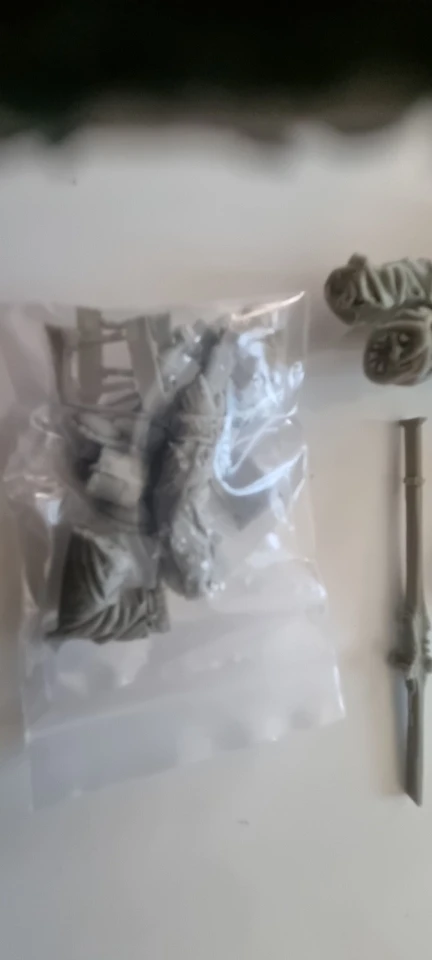 Buyer photo of this resin kit