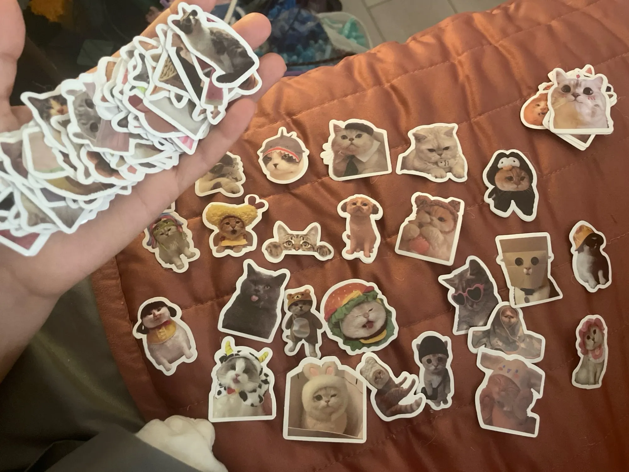 Customer review photo