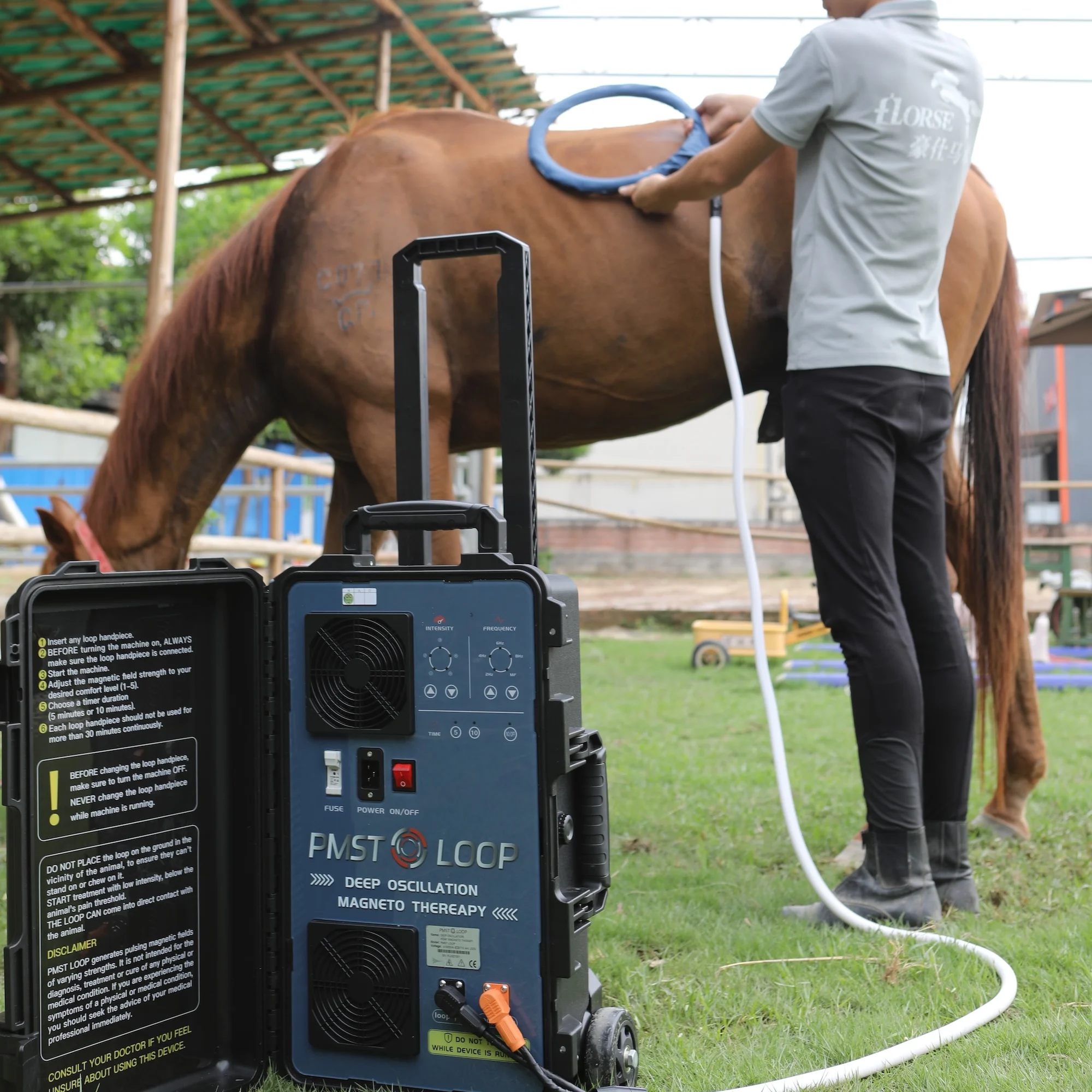 

Pemf Magnetic Therapy Device Horse Pemf Machine Pmst Loop Therapy Horse Machine