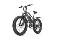 GOGOBEST GF600 PLUS Electrical Bicycle 1000w Brushless Motor 48v20ah Battery 26 Inch Fat Fetus Oil Brake Disc Brake