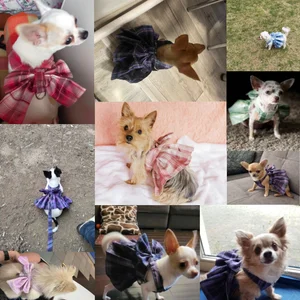Hundehalsbandrock mit Lichtbogen, Tiergürtel mit Brustgurt, Traktionsseil, kleine Hundebleine, Katzenleine, Prinzessin Kleid Tutu 10 Hauptverkauf Tutu Hund - №10
