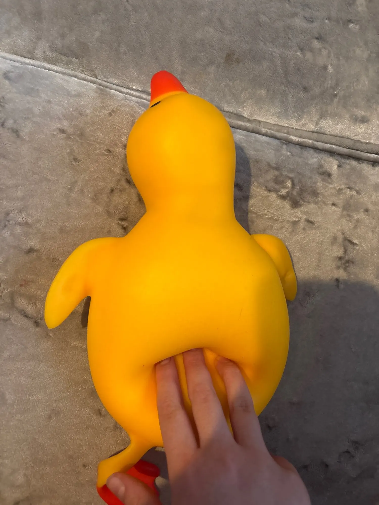 리뷰 사진