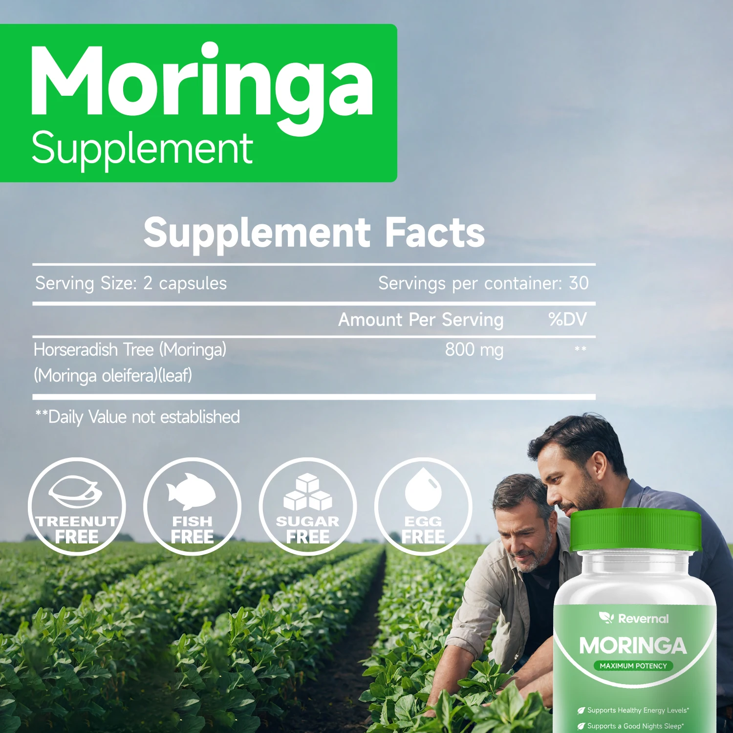 Moringa Powder Capsules - 800mg of Pure Nutrient-Rich Moringa Powder - A Natural Green Antioxidant Superfood - Supports Energy