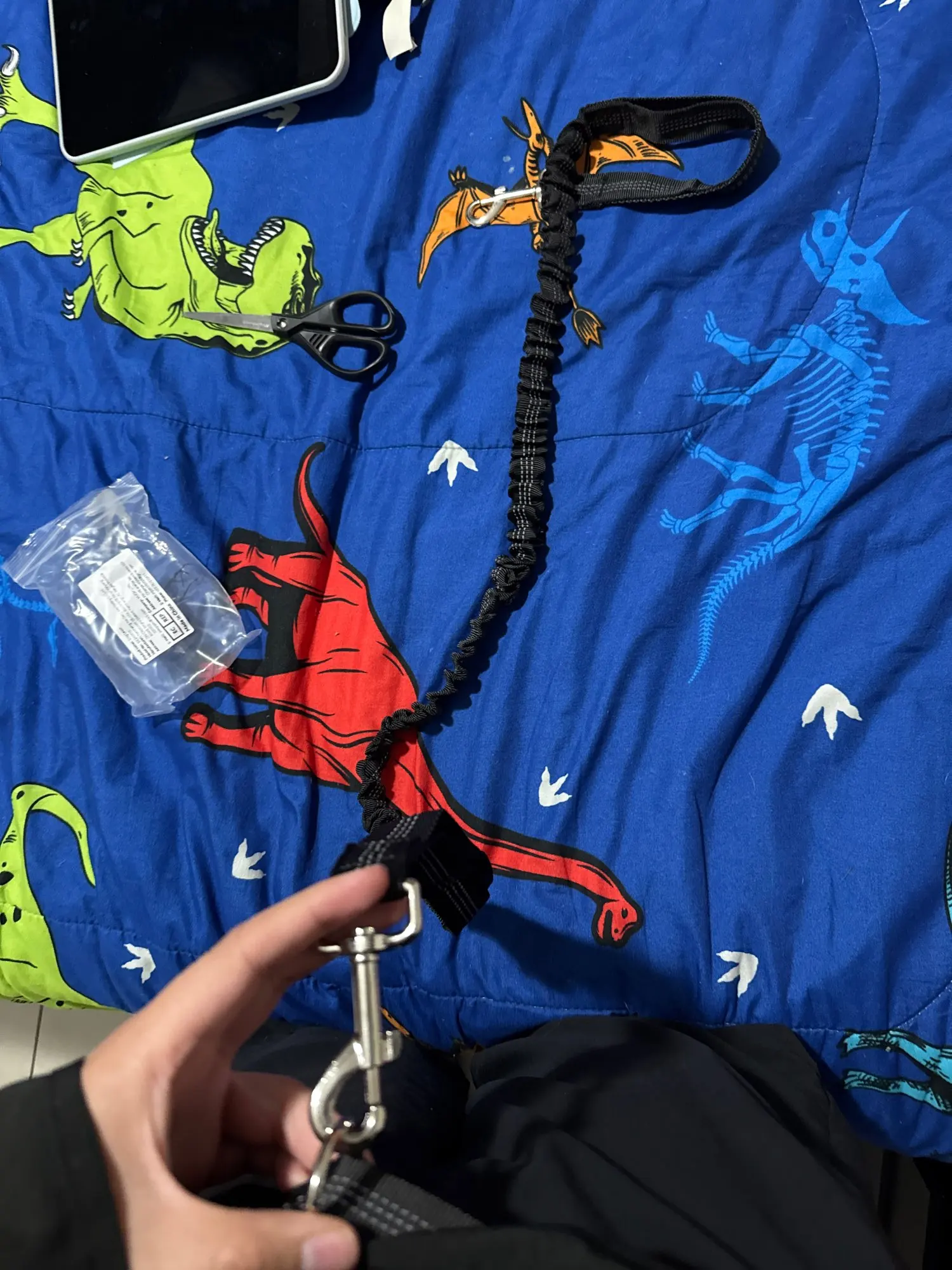 Customer review photo for Hands-Free Bungee Dog Leash with Adjustable Waist Belt