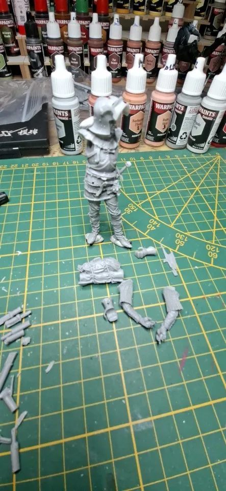 Buyer photo of this resin kit