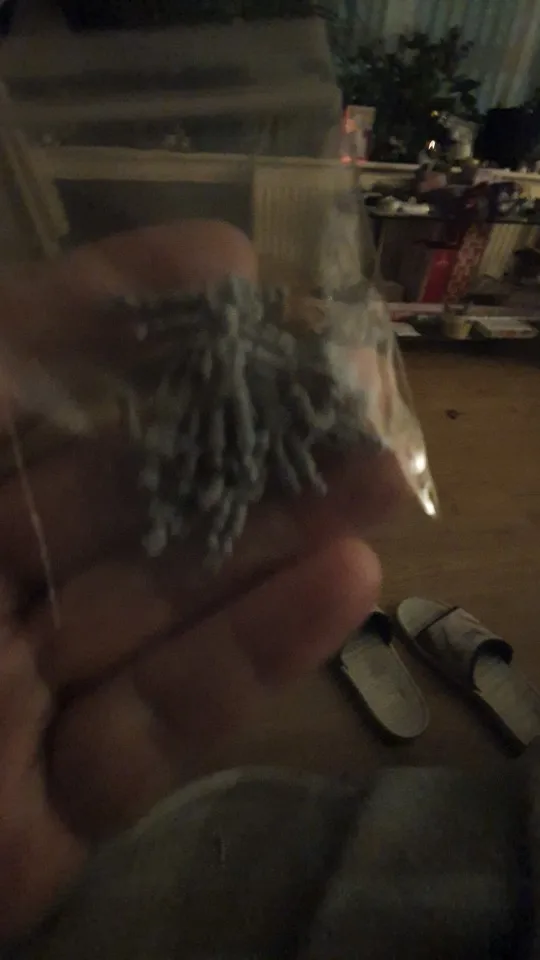 Buyer photo of this resin kit