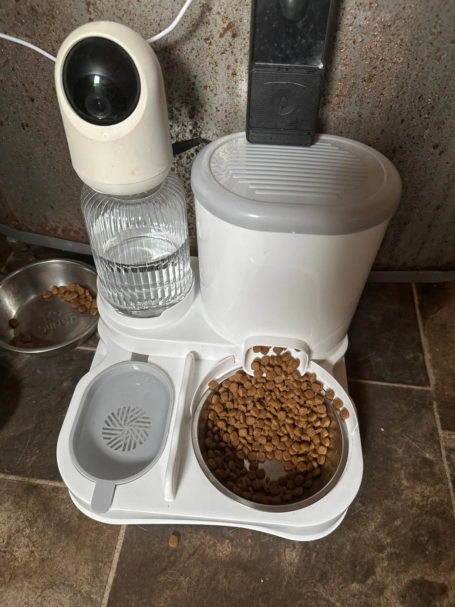 Customer review photo for Dual-Bowl Automatic Cat Feeder for Two Pets