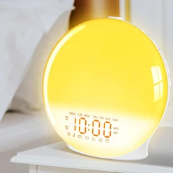 Sunrise Alarm Clock Wake Up Light for Bedroom Heavy Sleepers Adults Dual Alarms FM Radio Snooze 8 Nature Sounds  Night Light