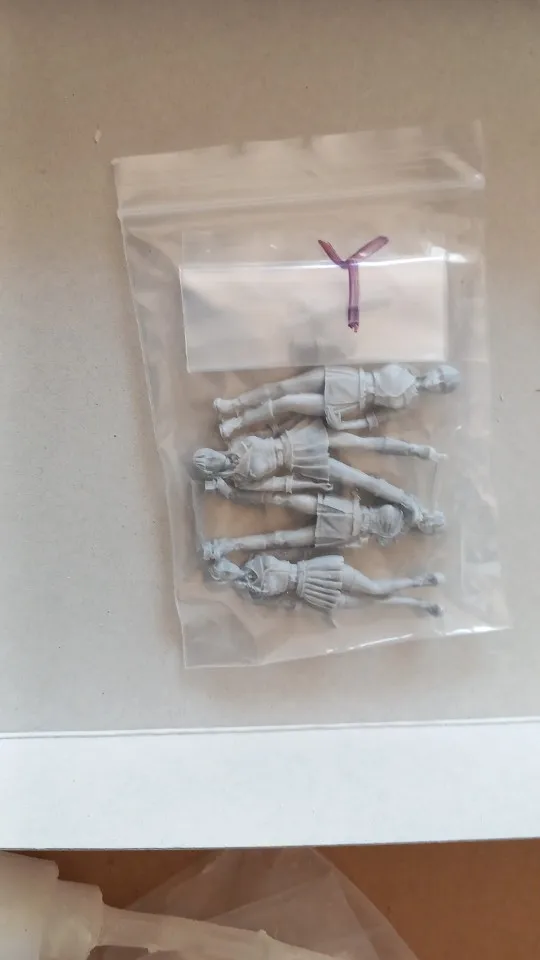 Buyer photo of this resin kit