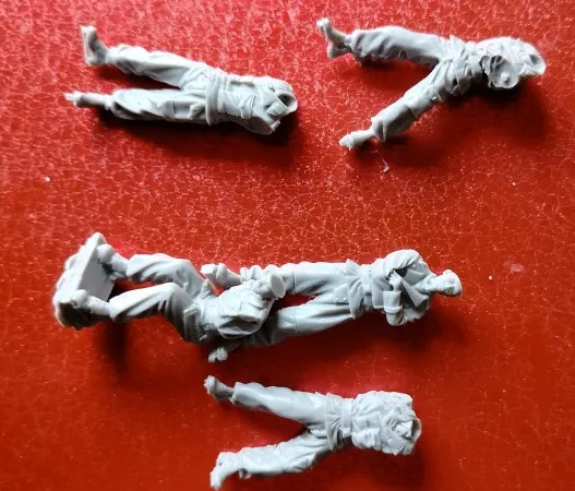 Buyer photo of this resin kit