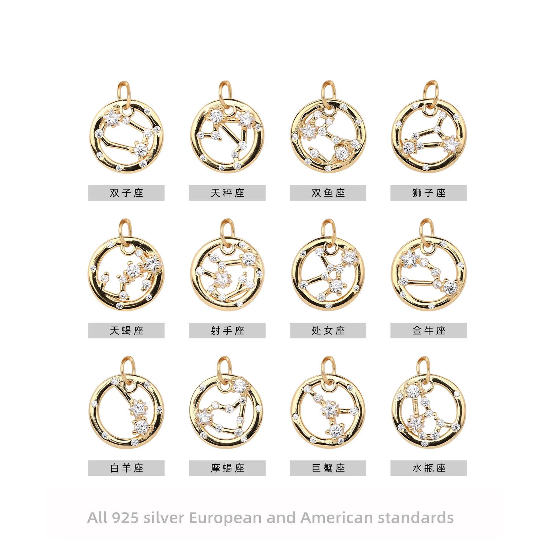 

925 Sterling Silver Zodiac Necklace with Zircon Stones Minimalist Luxury Instagram Style Collarbone Chain for Women