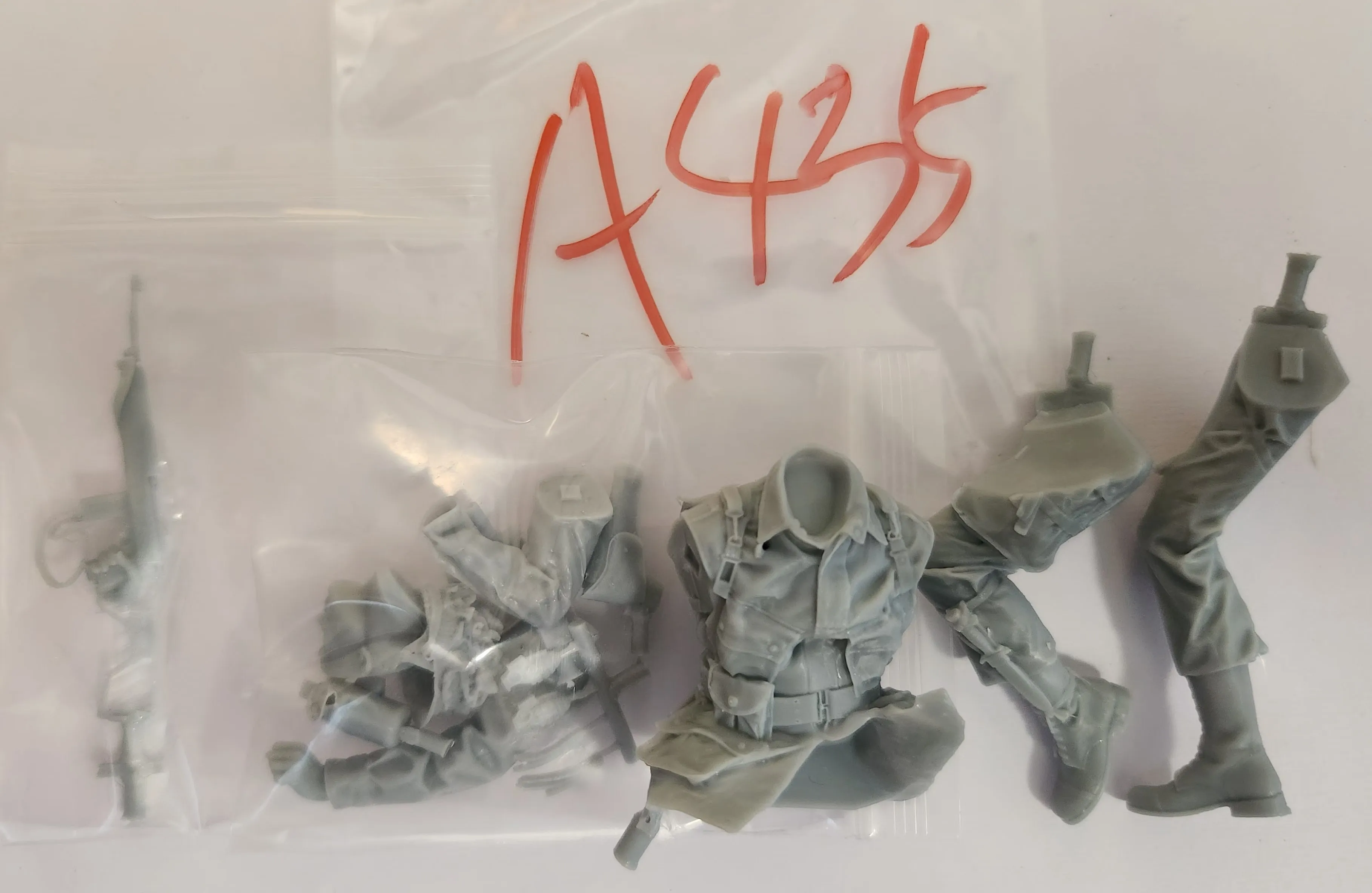 Buyer photo of this resin kit