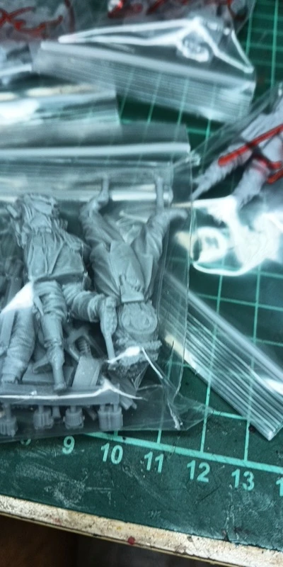 Buyer photo of this resin kit