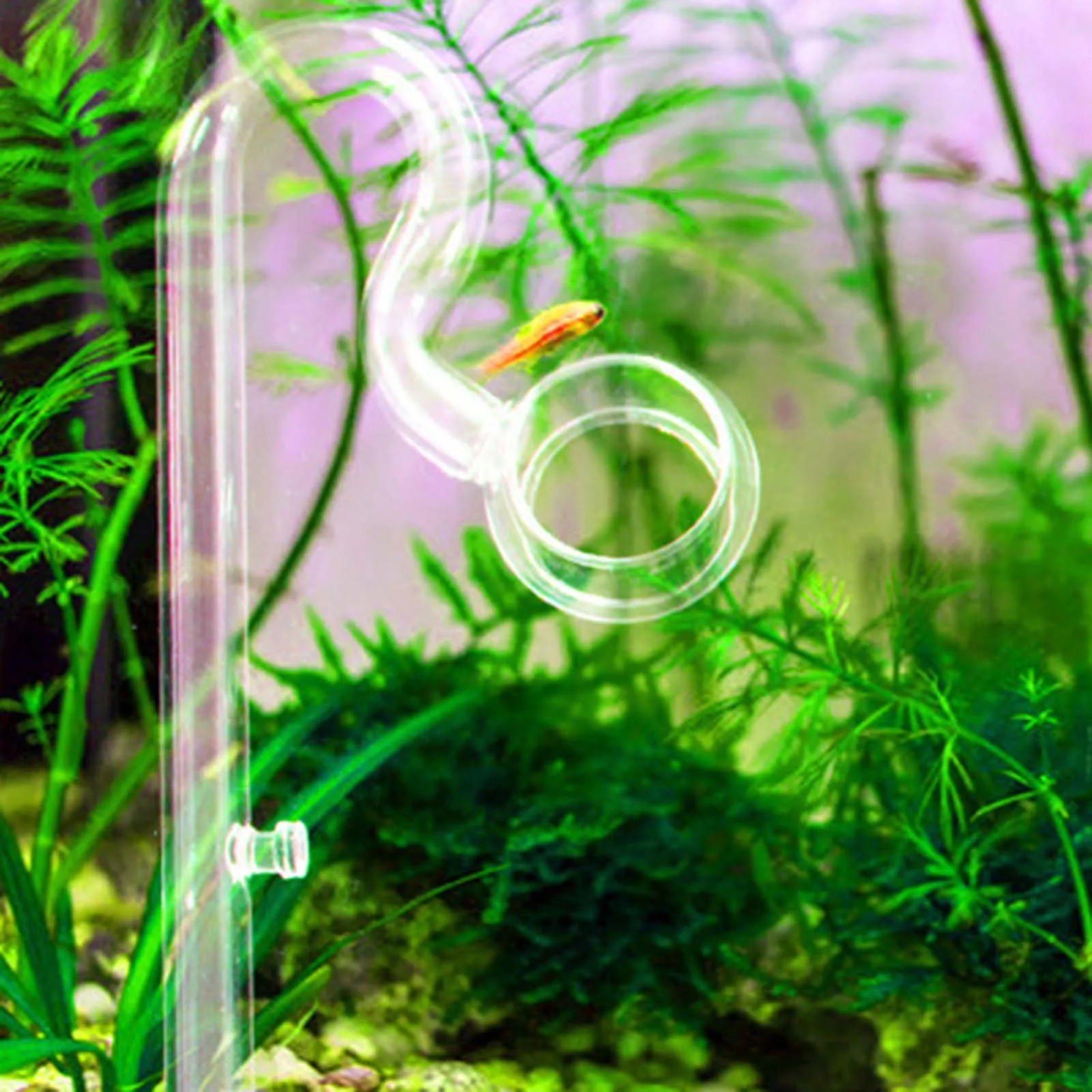 Aquarien-Lilienrohr, Ein- und Auslaufrohr für Aquarien, Wasserpflanzen-Tankfilter, 10/17mm Transparentes, Leicht zu Reinigendes Glas-Lilienrohr – Detail 2