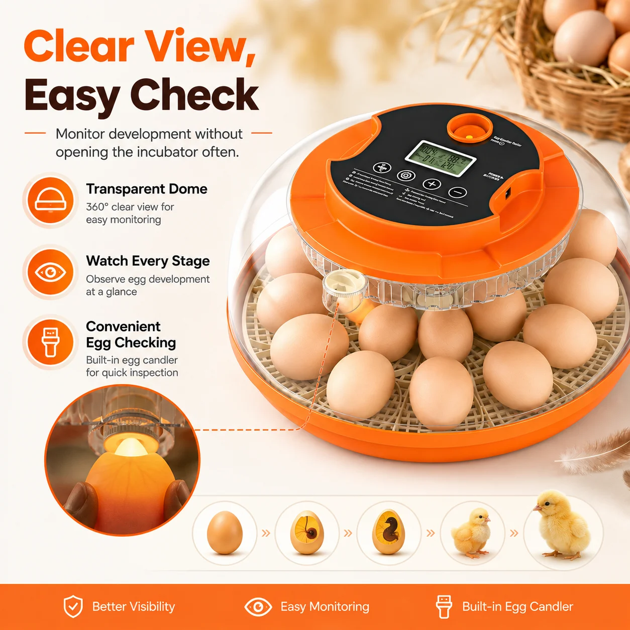 Incubadora de Ovos para Hobbys - Quail Egg Incubator avaliação e preço