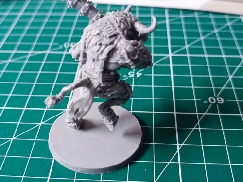 Buyer photo of this resin kit
