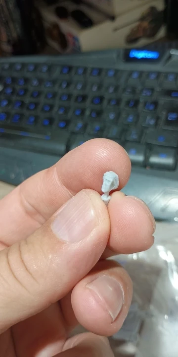 Buyer photo of this resin kit