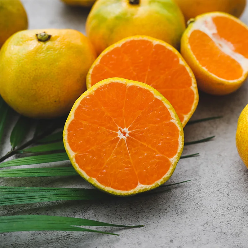 [تسليم مختارة] يتم شحنها مباشرة من Jeju اليوسفي المفتوح المزروع الطازجًا 4.5 كجم/9 كجم حسب الحجم