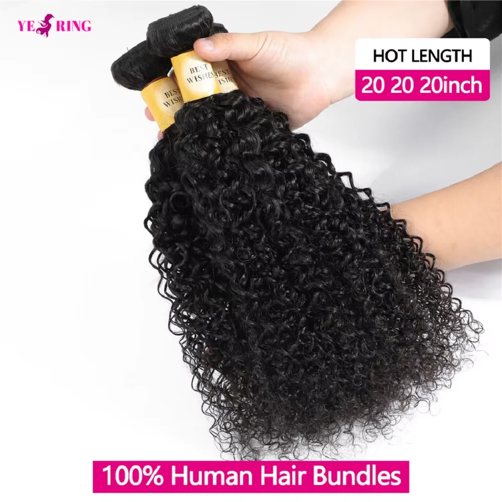 縮れ毛の人毛束 12A ビルマ産織り込み生毛 12～32インチ ジェリーカールヘアエクステンション束 100%人毛